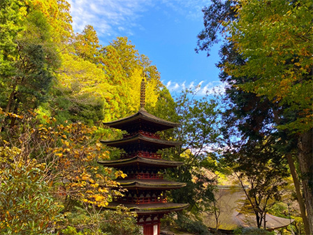 室生寺紅葉 