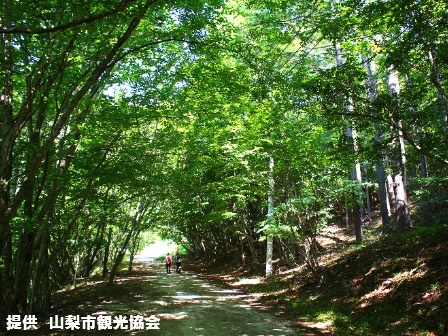 西沢渓谷 夏①