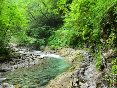 西沢渓谷 夏⑤