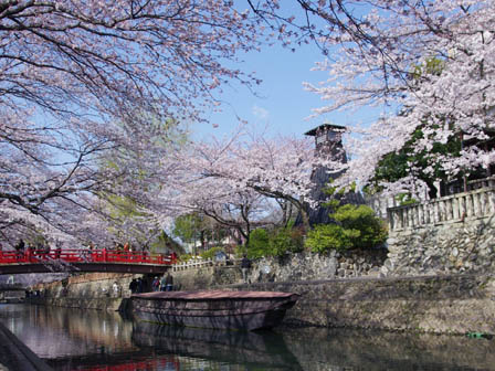 大垣公園周辺 ※イメージ
