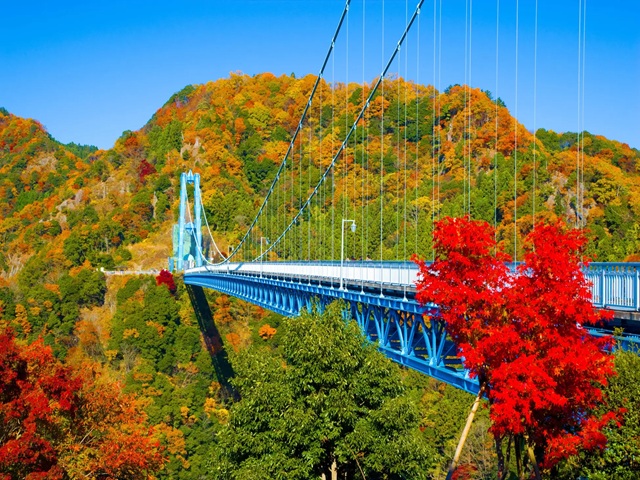 竜神大吊橋