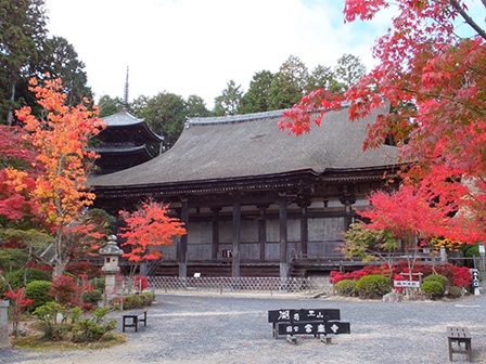常楽寺
