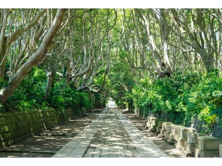 酒列磯前神社 参道