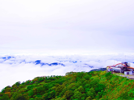 伊吹山 雲海