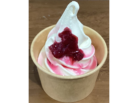 ミニバラソフト付き！※2