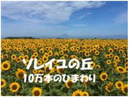 ソレイユの丘