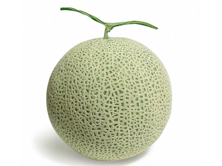お土産メロン1個（約1kg）