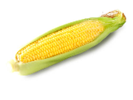 野菜詰め合わせセットのお土産付！