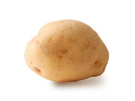 野菜詰め合わせセットのお土産付！