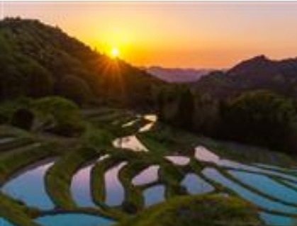 大山千枚田夕方