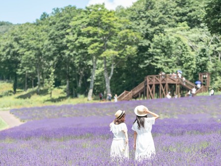 たんばらラベンダーパーク