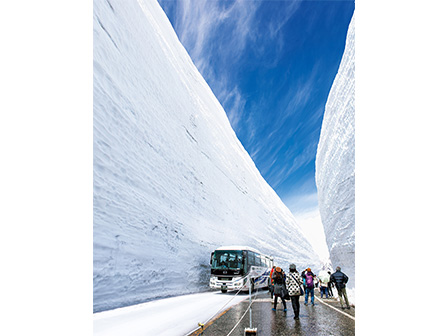 雪の大谷ウォーク