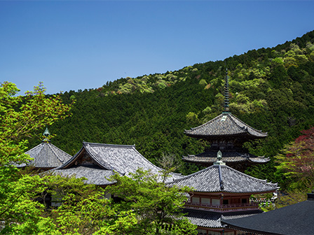 壺阪寺 境内