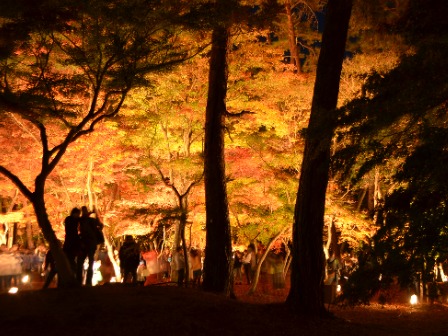 月の石もみじ公園