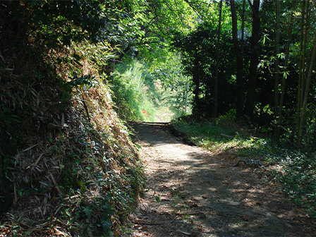 山の辺の道北コース