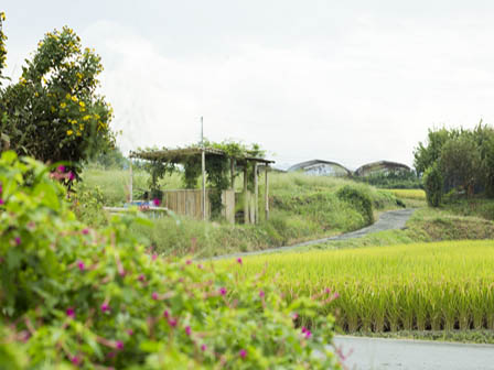 山の辺の道南コース