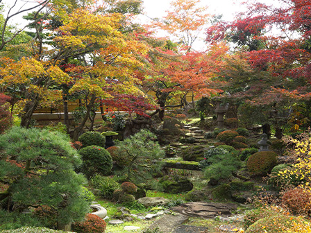 陽願寺 庭園紅葉 ©越前市観光協会