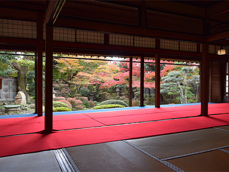 陽願寺 庭園紅葉