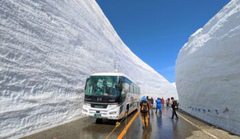 雪の大谷ウォーク