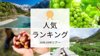 中部発チラシ20250614