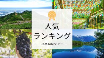 中部発チラシ20250801ランキング