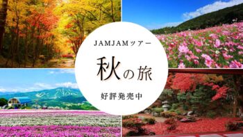 中部発チラシ20250809