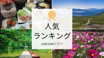 中部発チラシ20250823ランキング