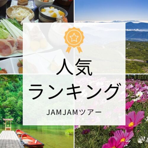 中部発チラシ20250823ランキング