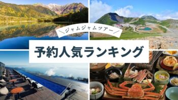 中部発チラシ20250913ランキング