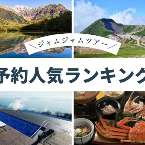 中部発チラシ20250913ランキング