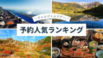 中部発チラシ20250920ランキング