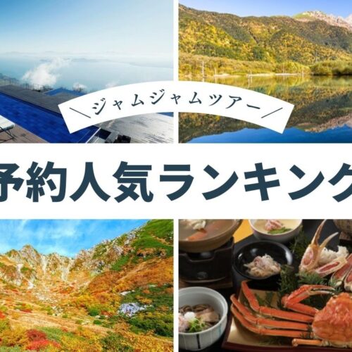 中部発チラシ20250920ランキング