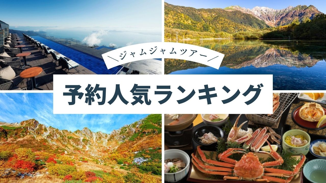 中部発チラシ20250920ランキング