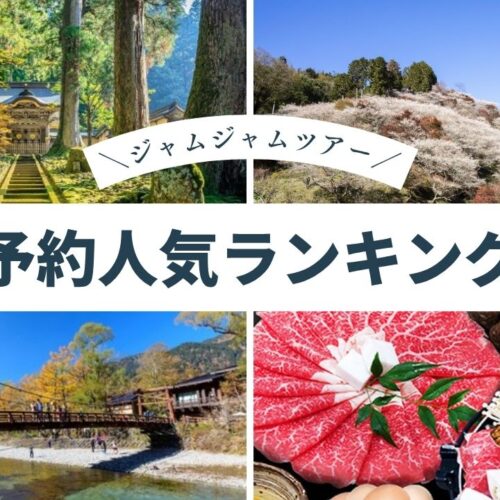 中部発チラシ20251018ランキング