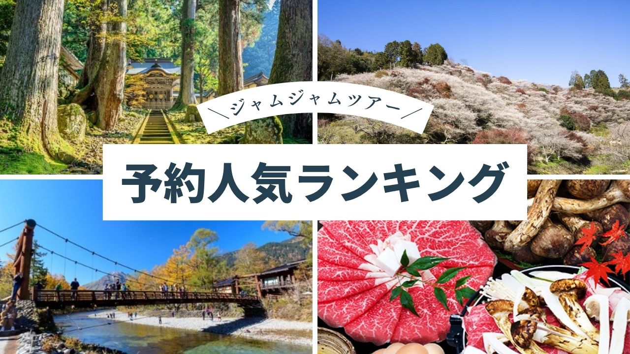 中部発チラシ20251018ランキング