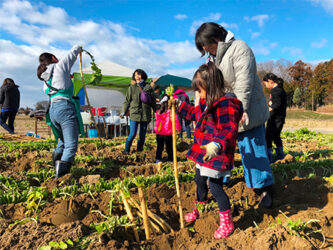 大根ほりほり体験(イメージ)