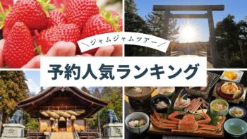 中部発バスツアー予約人気ランキング20251220