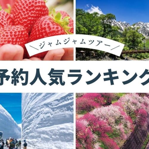 中部発バスツアー予約人気ランキング20260221