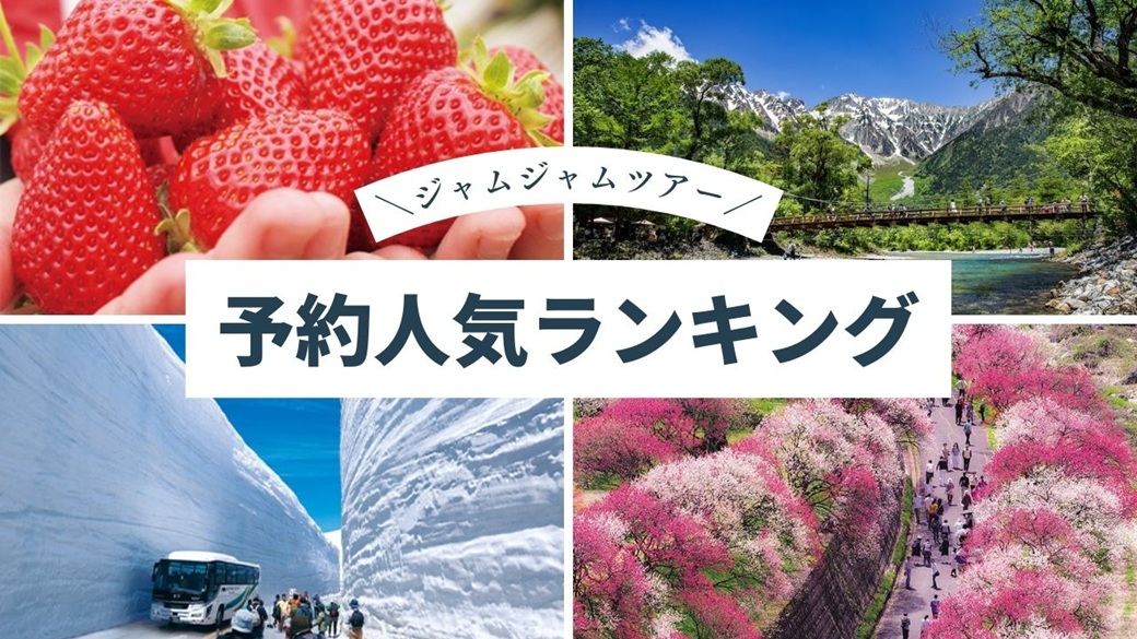 中部発バスツアー予約人気ランキング20260221