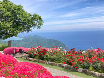 三方五湖レインボーライン バラ園