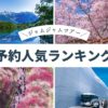 名古屋発 日帰りバスツアー 人気ランキング(2026年3月28日版)