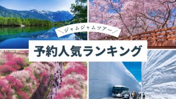 中部発バスツアー予約人気ランキング20260328