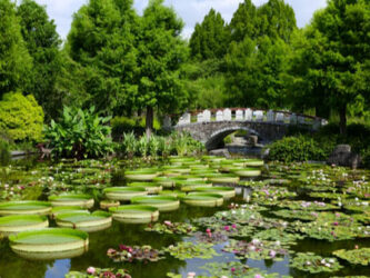 草津市立水生植物公園みずの森