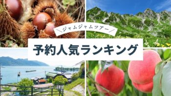 国内おすすめ中部発_予約人気ランキング20260620