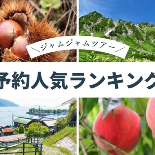 国内おすすめ中部発_予約人気ランキング20260620