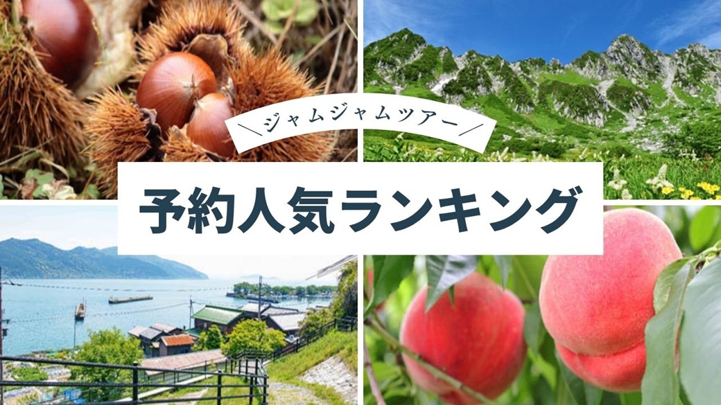 国内おすすめ中部発_予約人気ランキング20260620