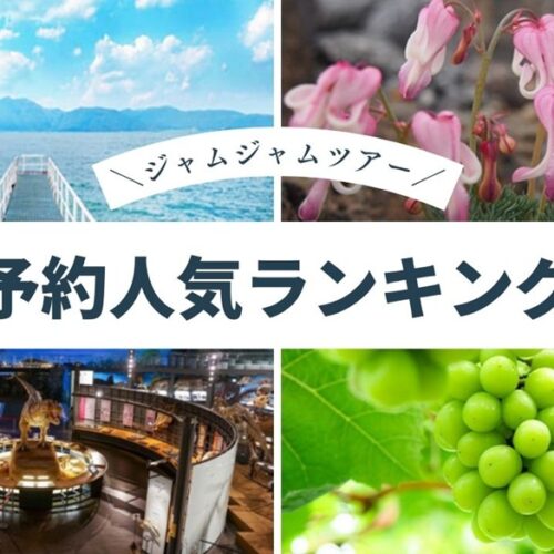 国内おすすめ中部発_予約人気ランキング20260718