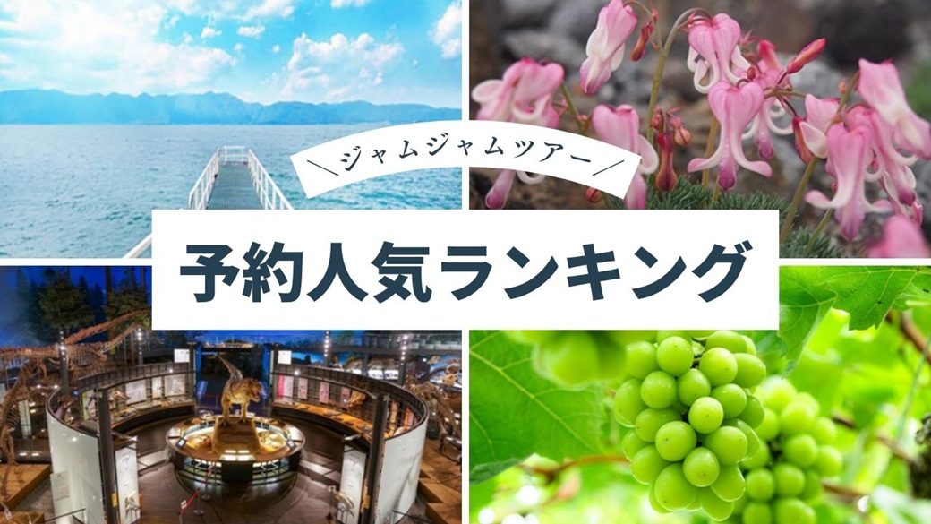 国内おすすめ中部発_予約人気ランキング20260718