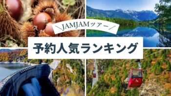 国内おすすめ中部発_予約人気ランキング
