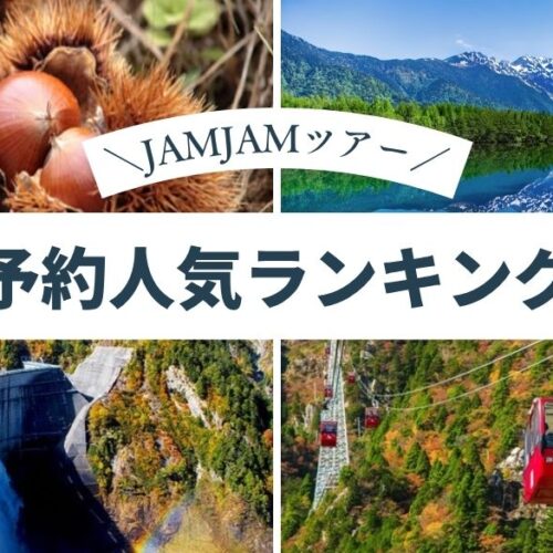 国内おすすめ中部発_予約人気ランキング